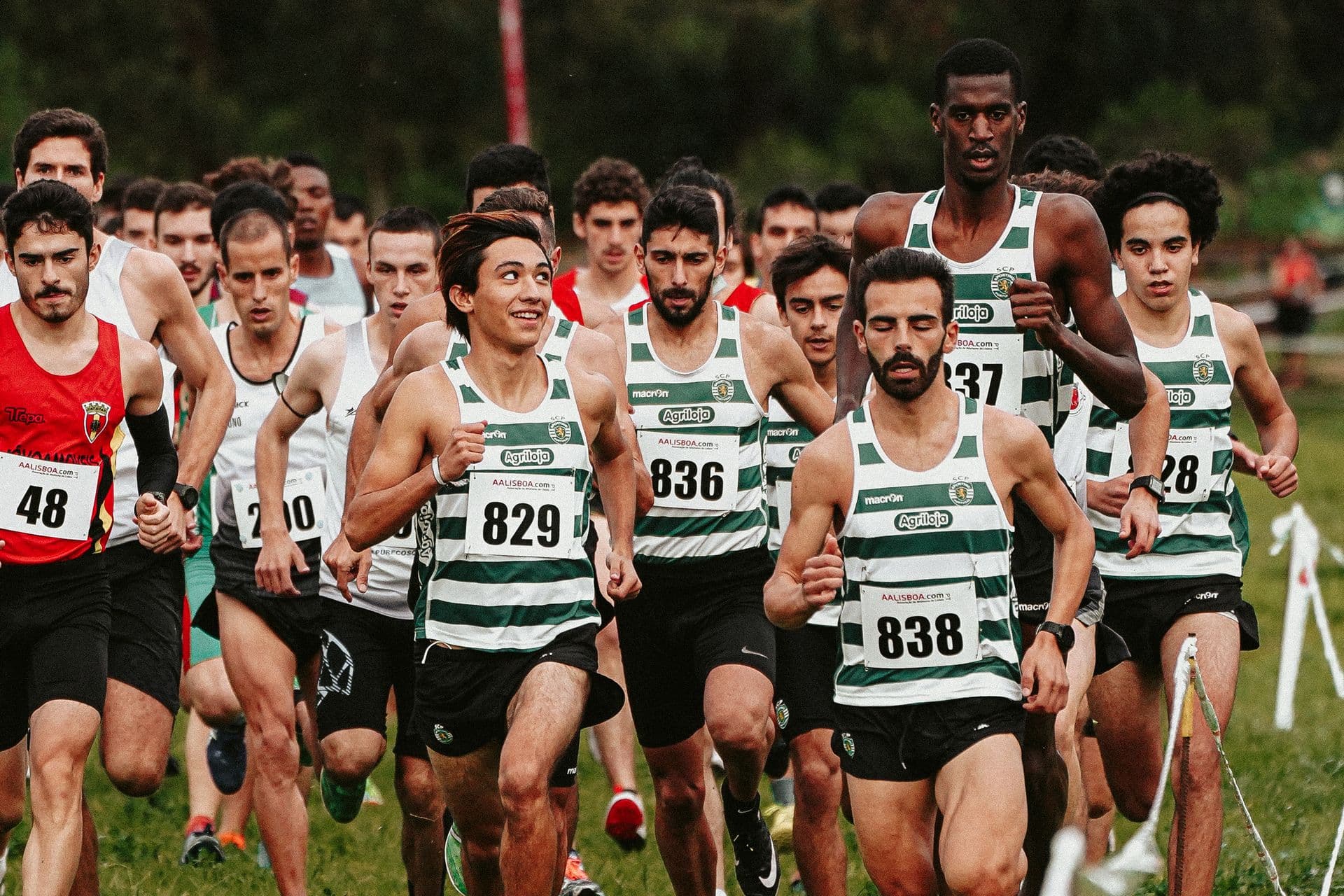 Peloton de coureurs en maillot de club lors d'une course de cross-country sur herbe